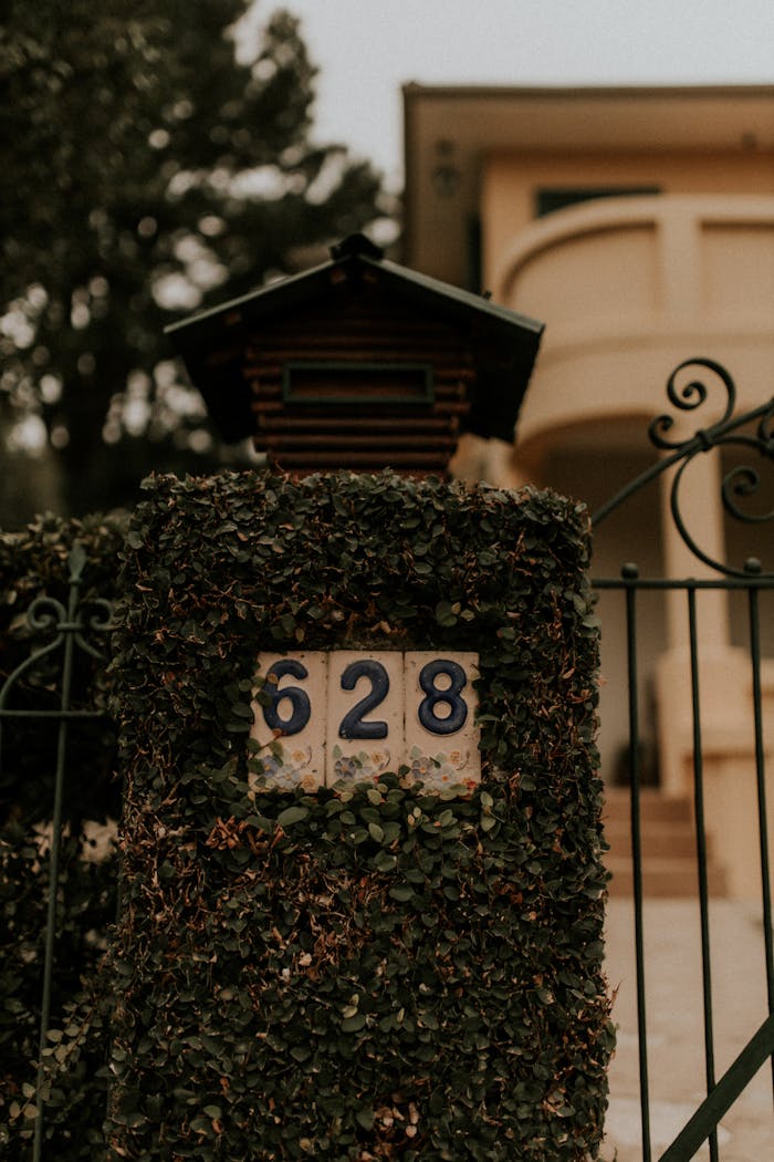 Close-up of a house entrance with ivy-covered wall and house number 628.